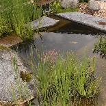 vodní prvek,vodní kaskáda, okrasné kameny,vodní rostliny,valouny,rula,zahradní jezírko
